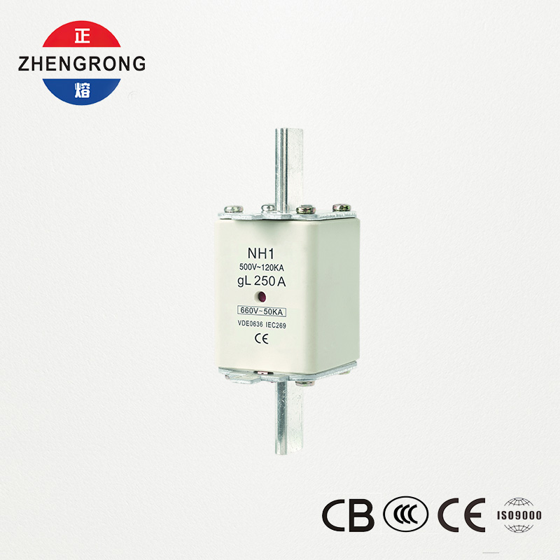 CE & IEC လက်မှတ်ရ Fuse လင့်ခ် NH1 500V 250A မြင့်မားသော ဖောက်ထွင်းနိုင်မှု CE & IEC လက်မှတ်ရ Fuse လင့်ခ် NH1 500V 250A မြင့်မားသော ဖောက်ထွင်းနိုင်မှု