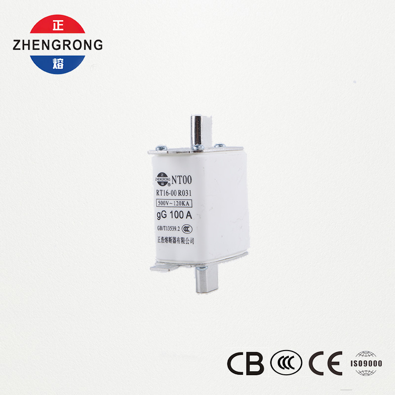High Breaking Capacity NT00 100A Fuse - 500V 120kA ကြွေထည် gG Fuse လင့်ခ်