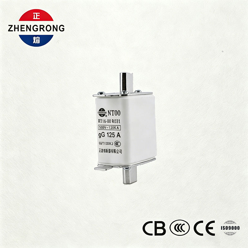 High Breaking Capacity NT00 125A Fuse - 500V 120kA ကြွေထည် gG Fuse လင့်ခ်