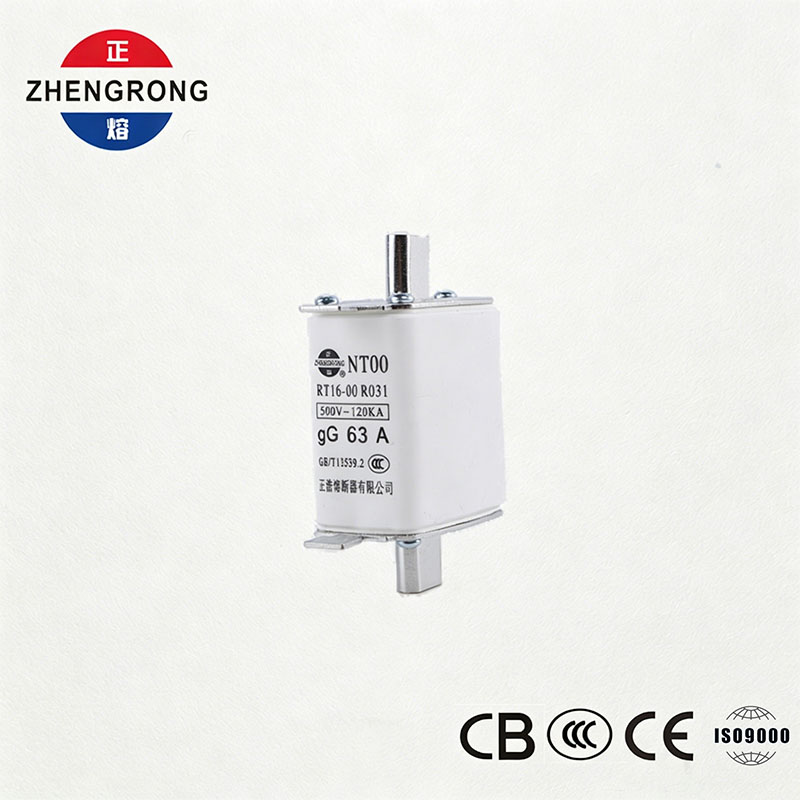 High Breaking Capacity NT00 63A Fuse - 500V 120kA ကြွေထည် gG Fuse လင့်ခ်