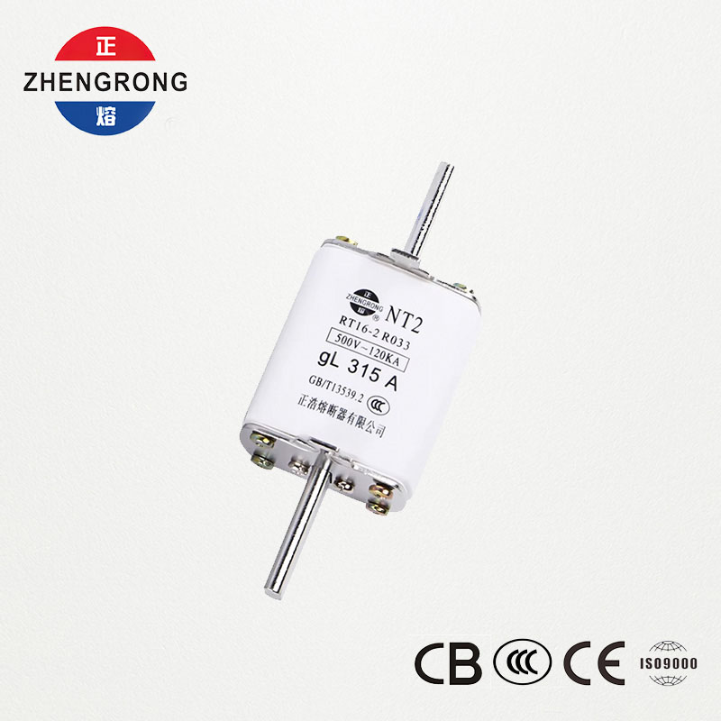 NT2 315A Fuse Link | RT16-2 500V gL ကြွေဖျူး