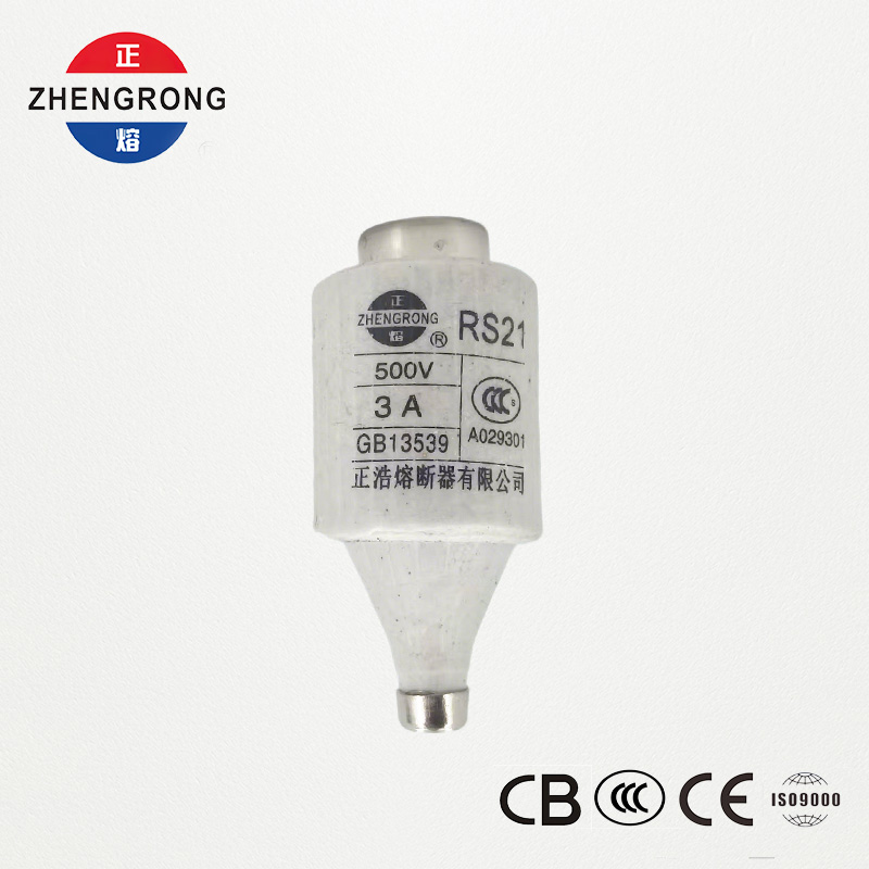 RS21 3A 500V လျင်မြန်စွာသရုပ်ဆောင်သော ဝက်အူအမျိုးအစား Fuse